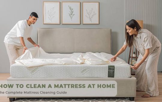 Best Way to Clean a Mattress