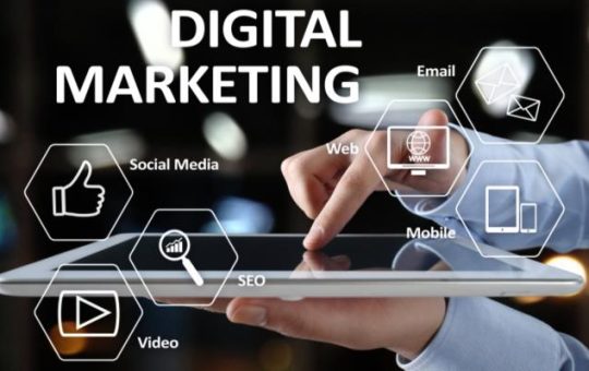 Website Services